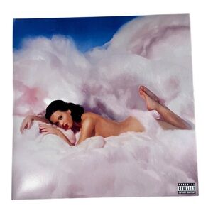 Teenage Dream Katy Perry Vinyl Record 💿BUNDLE DISCOUNT💿